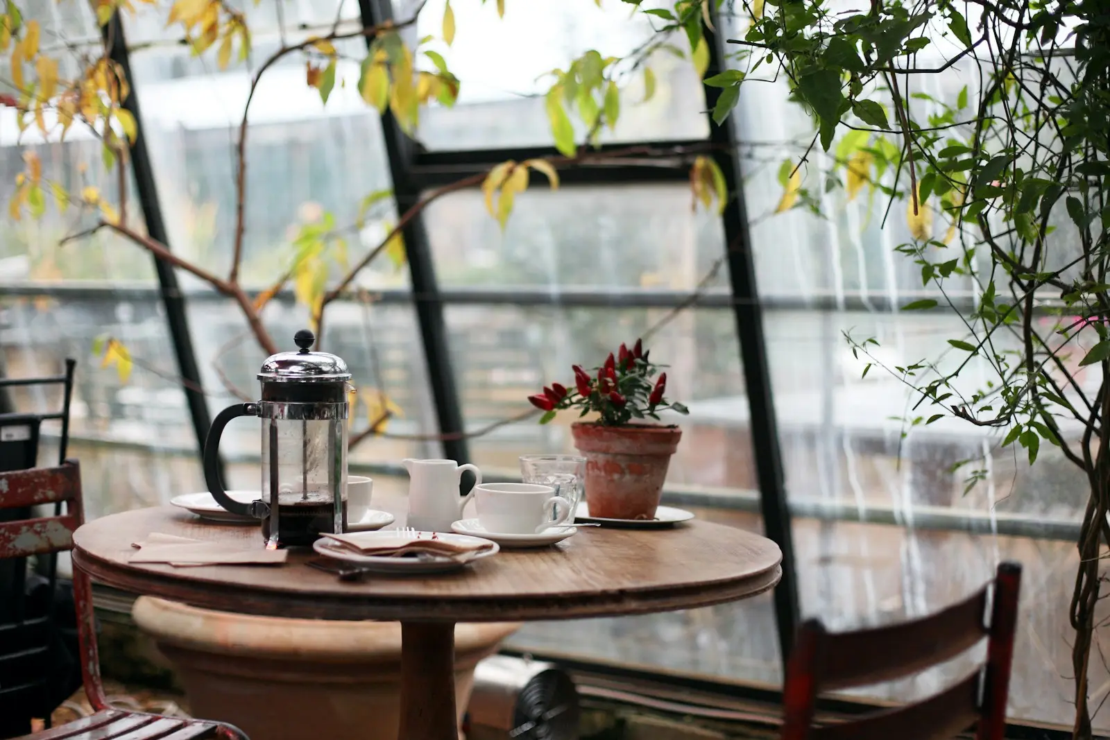 A café table by tall windows, with a cafetière, cups and plants