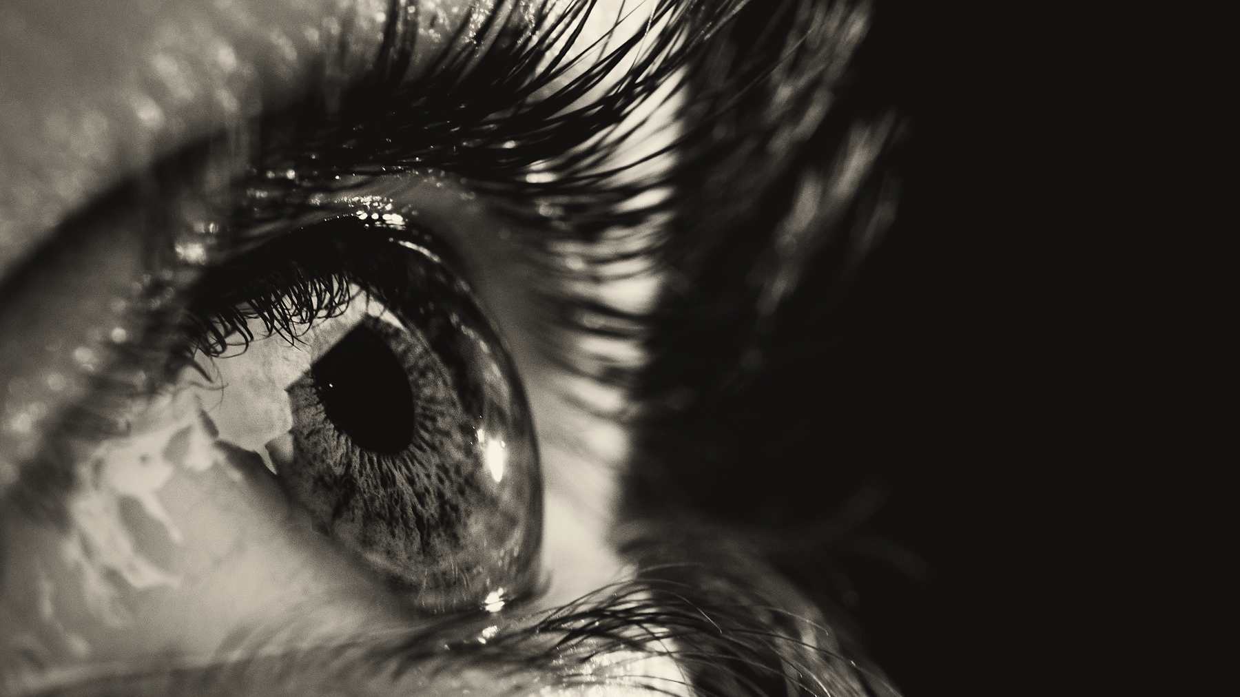 Black and white macro of long dark lashes
