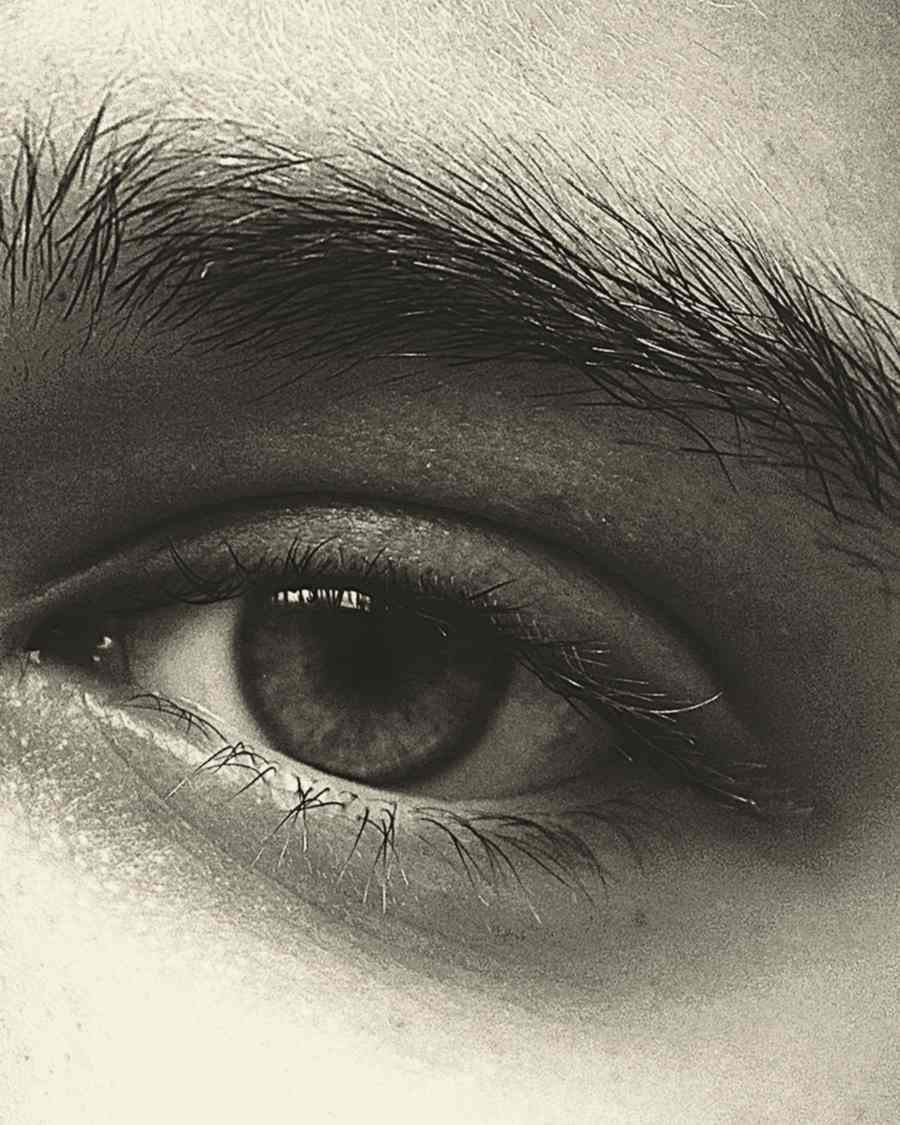 A full, brushed-up brow above a dark eye