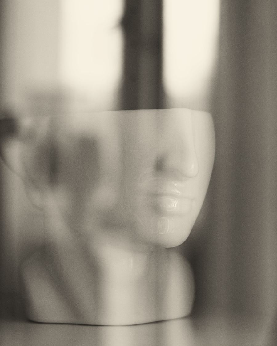 A plaster bust on a shelf in soft window light