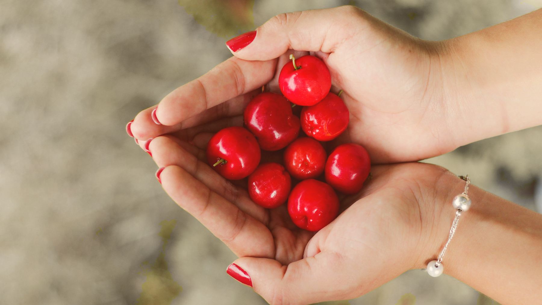 Two hands with glossy cherry-red nails cupping a handful of fresh cherries