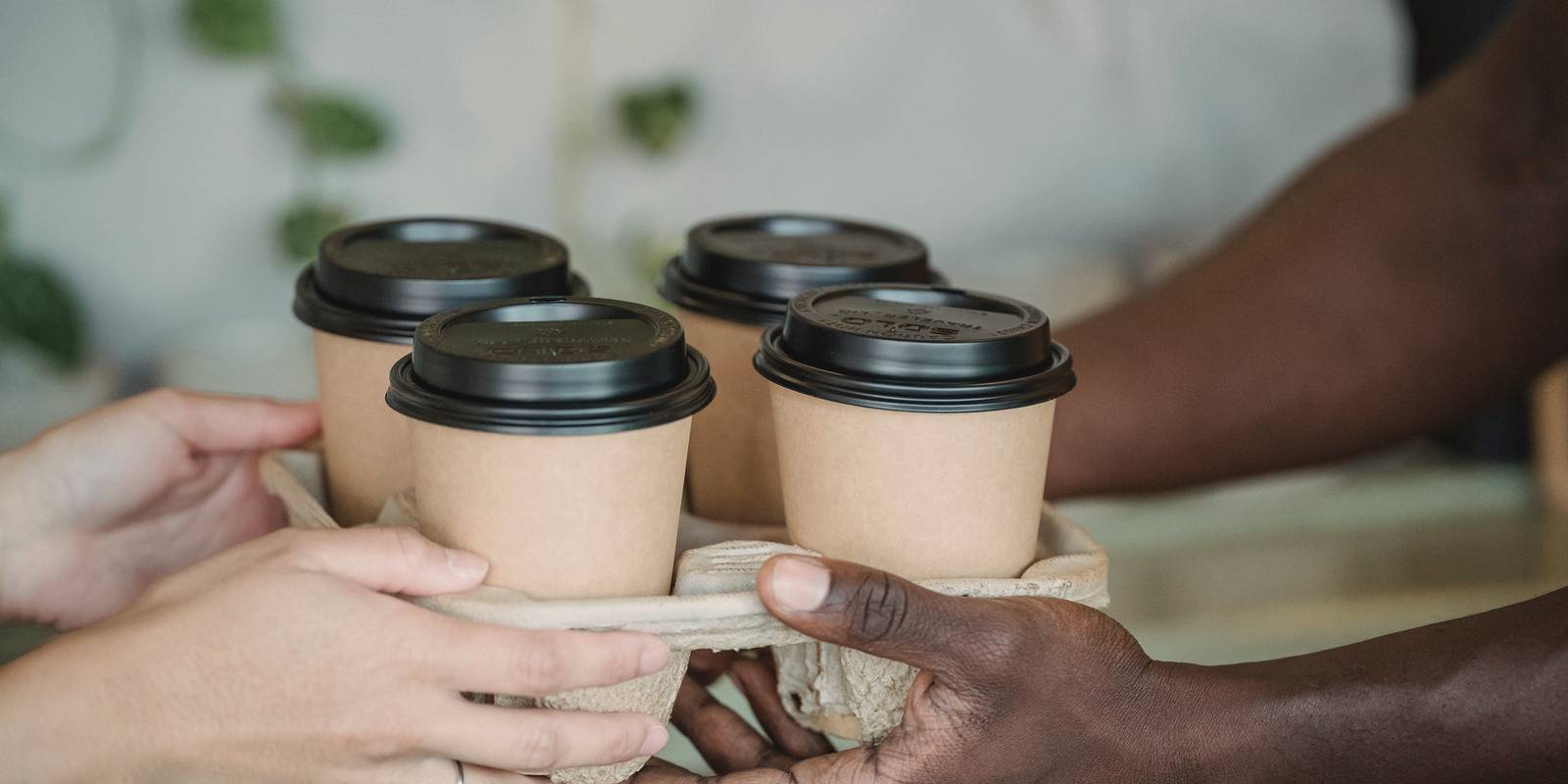 A tray of four lidded takeaway coffees being handed over