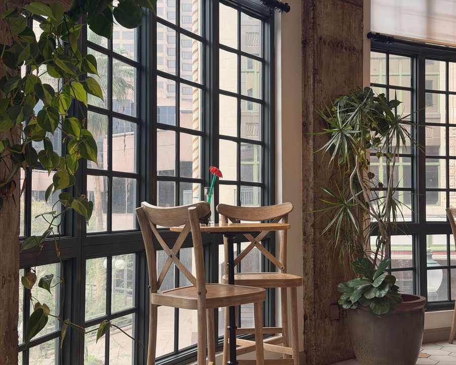 Wooden chairs and plants beside tall black-framed windows
