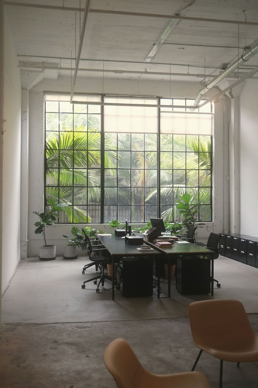 Tall factory windows with palms and plants beside a long desk, in warm afternoon light