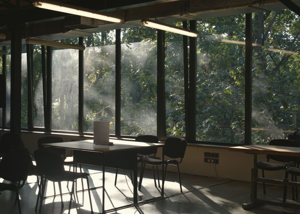 Long desks beside floor-to-ceiling factory windows, with sunlight coming through trees outside