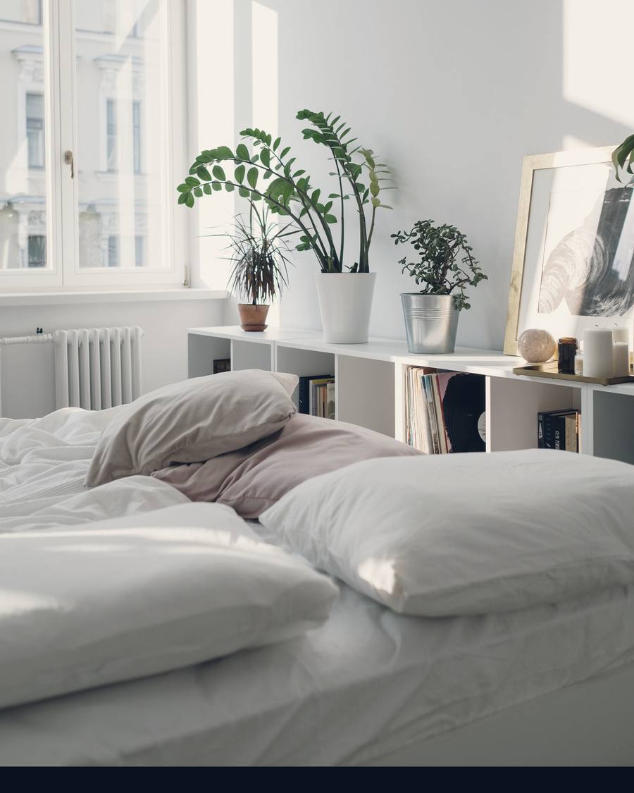 A calm bedroom with white linen and plants on a shelf by a tall window