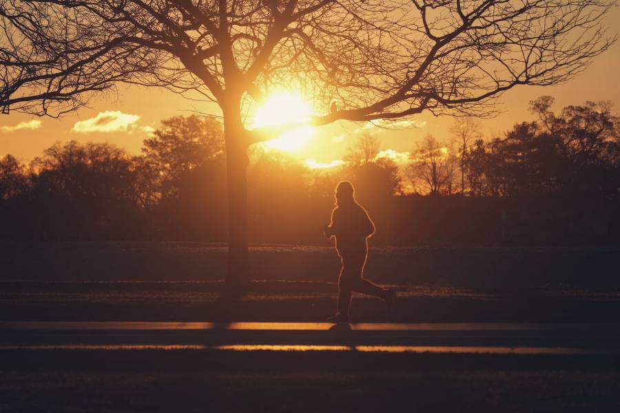 A runner silhouetted against a low autumn sun behind a bare tree on a London common