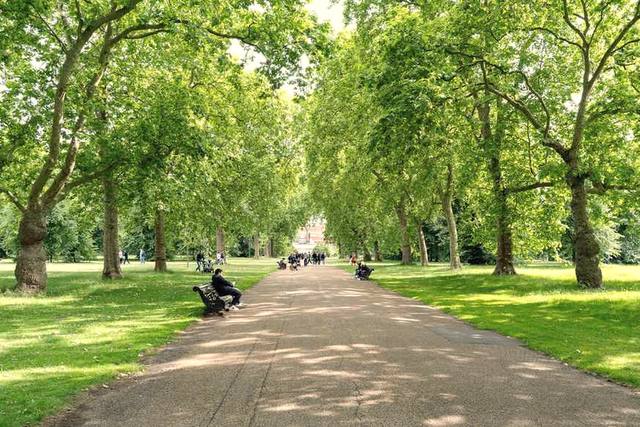 A tree-lined avenue through Brockwell Park in summer