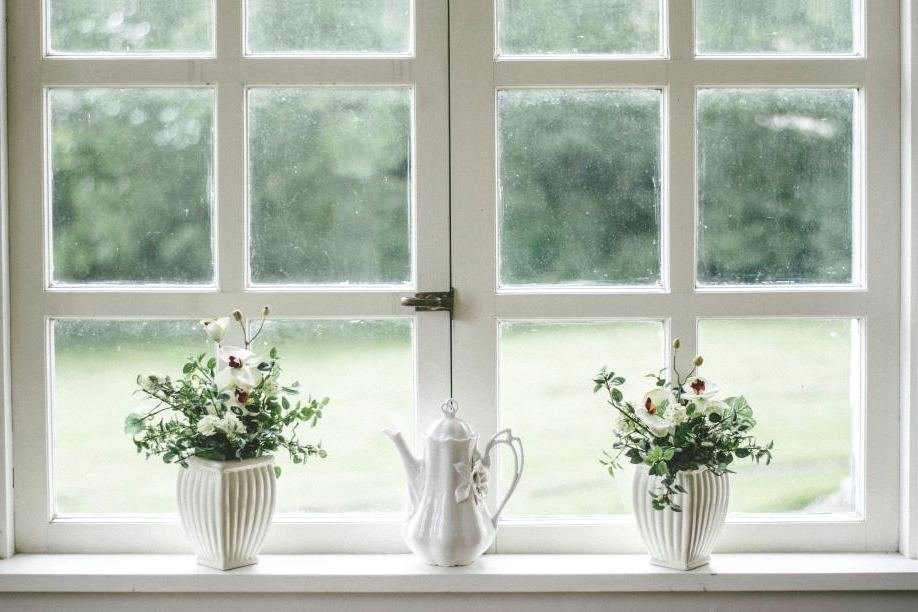 A white sash window with clear panes and potted flowers on the sill