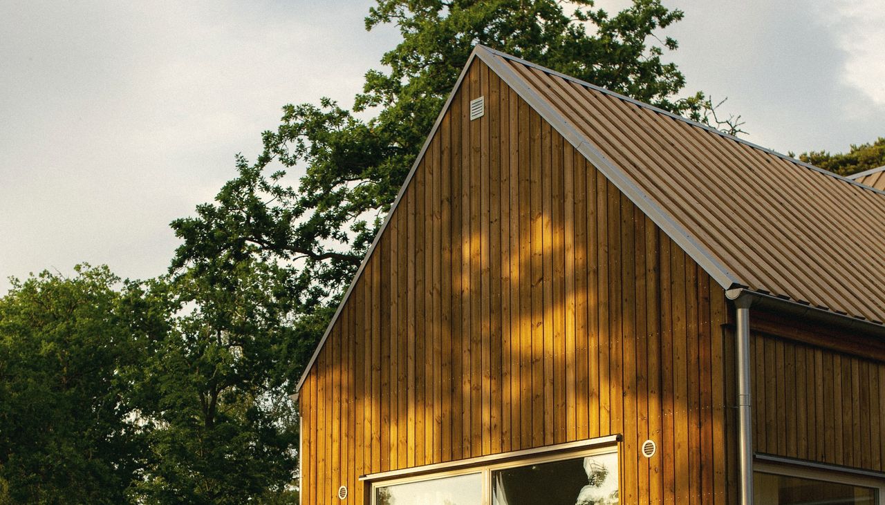 A timber-clad gable catching low evening sun, with oak trees behind