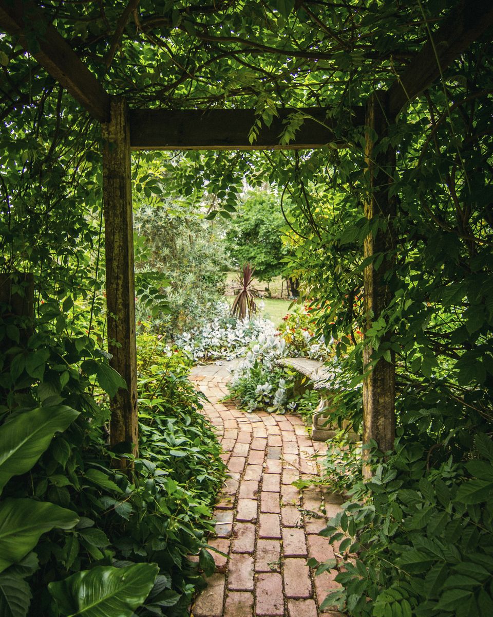 A brick garden path under a green pergola
