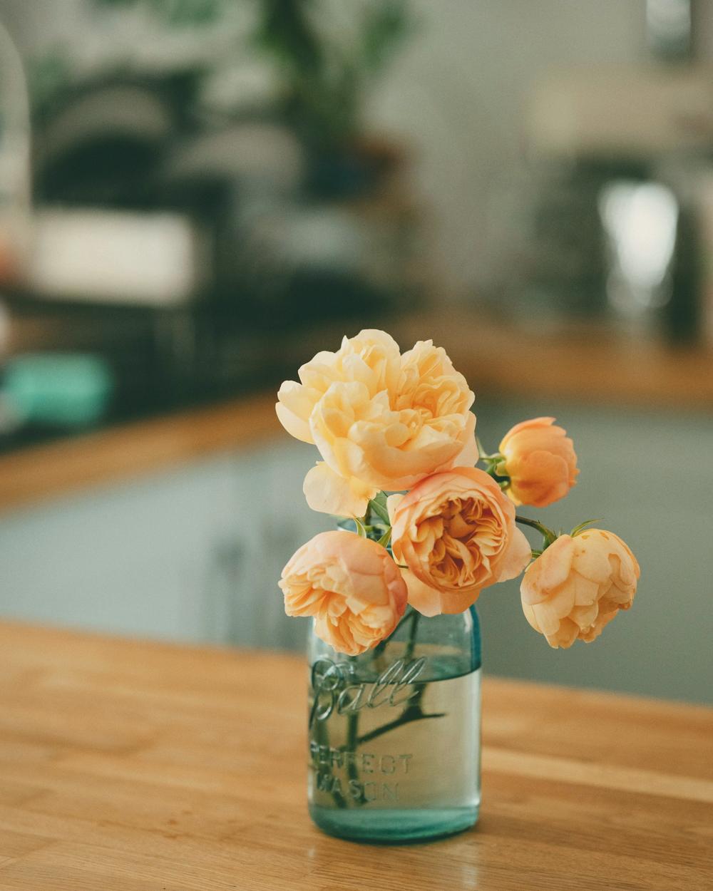Peach ranunculus in a small glass jar on a wooden kitchen counter