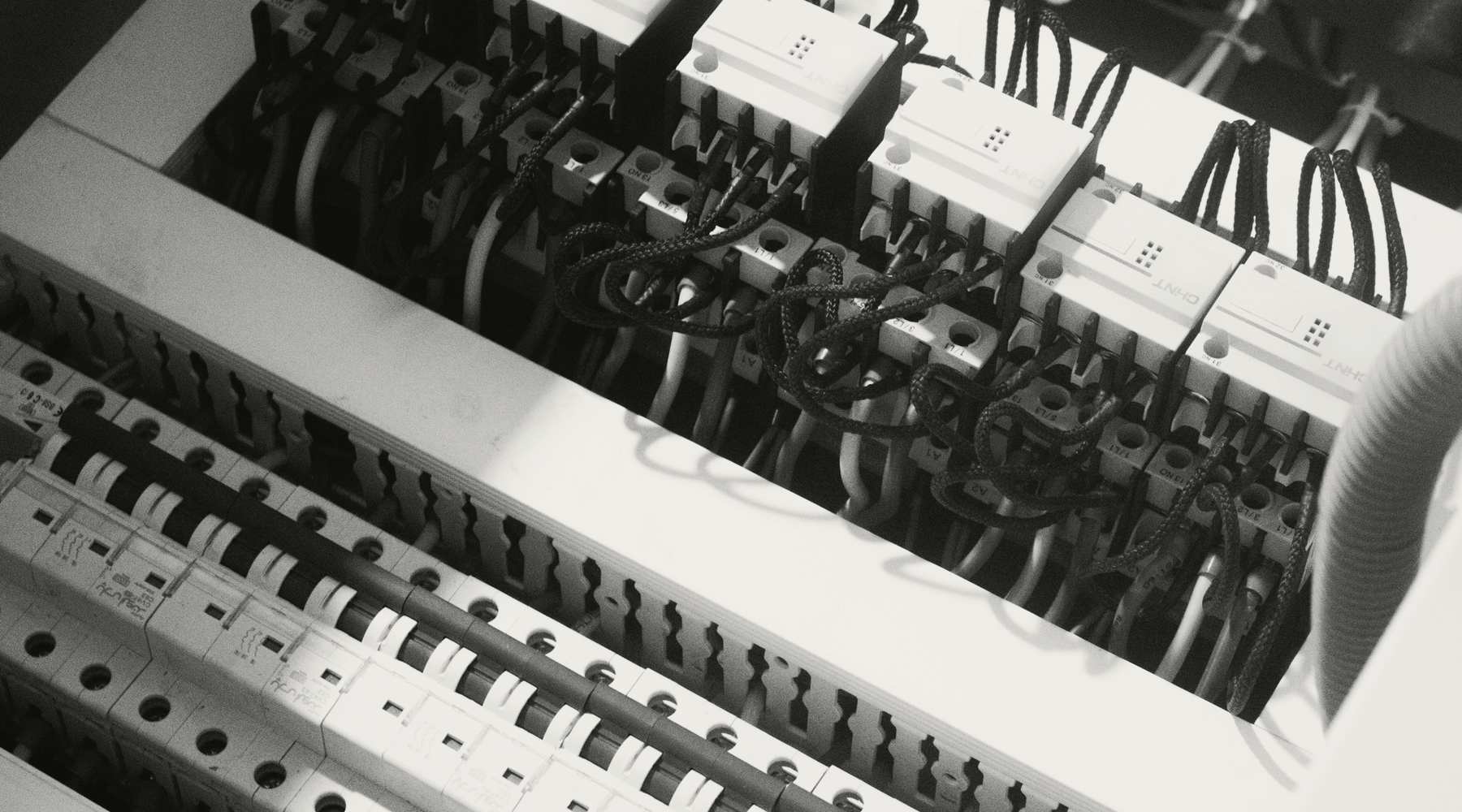 Close-up of a consumer unit: rows of circuit breakers with their cables dressed neatly into the terminals