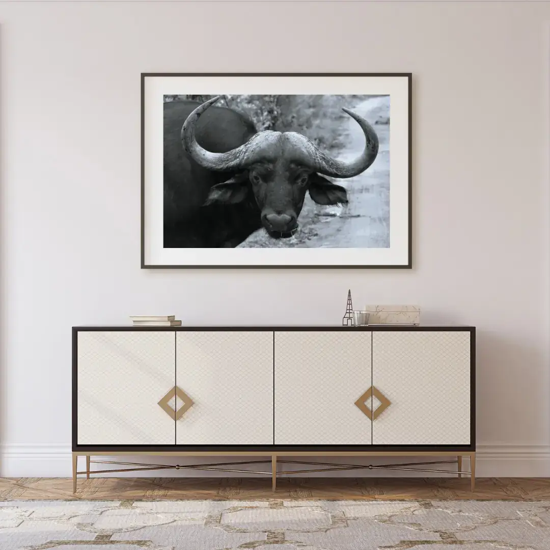 Horn and Dust: room mock-up of the print (buffalo), framed on a wall