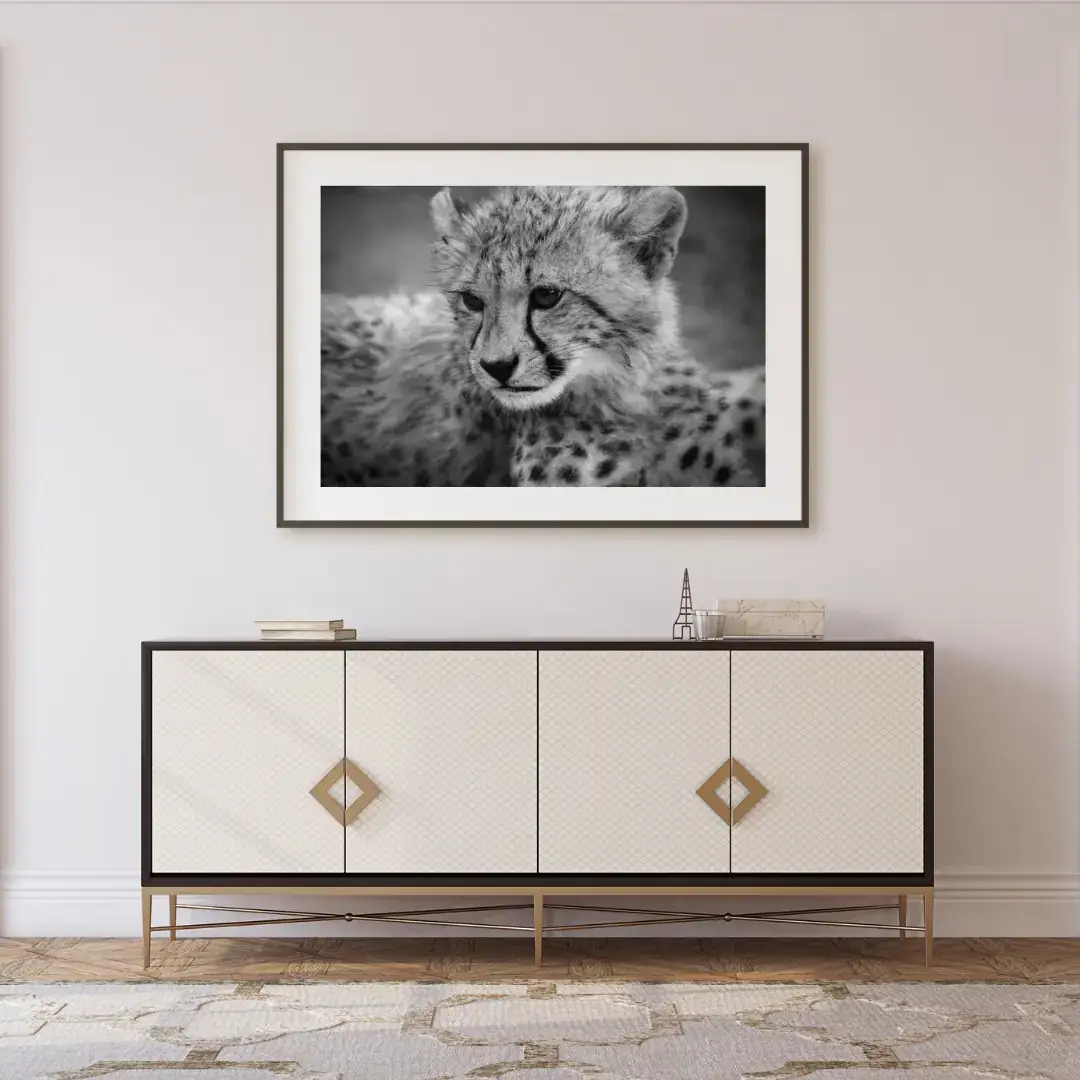 The Mantle: room mock-up of the print (cheetah cub), framed on a wall