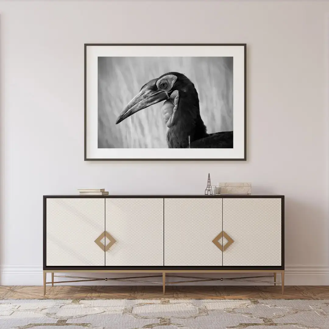 Noon Profile: room mock-up of the print (ground hornbill), framed on a wall