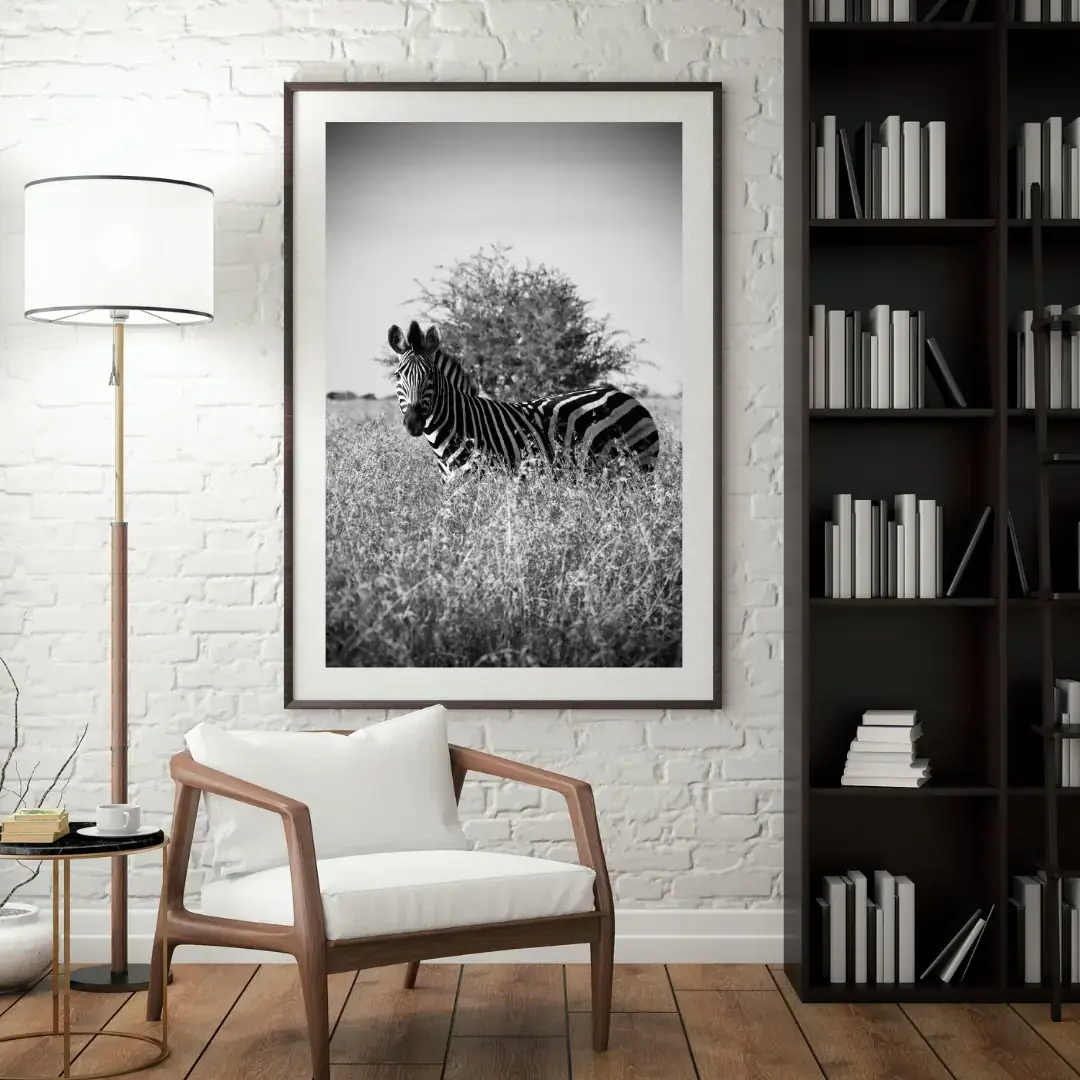 Lines in the Grass: room mock-up of the print (zebra, black and white), framed on a wall