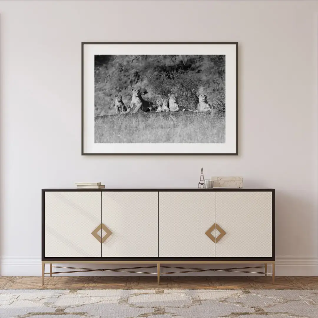 All Eyes: room mock-up of the print (lions all sat and staring), framed on a wall