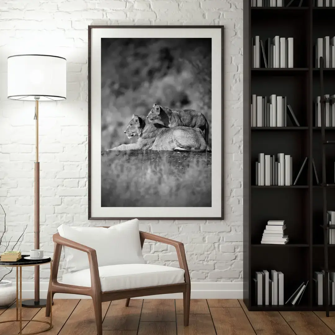 Over Her Shoulder: room mock-up of the print (mother and cub), framed on a wall