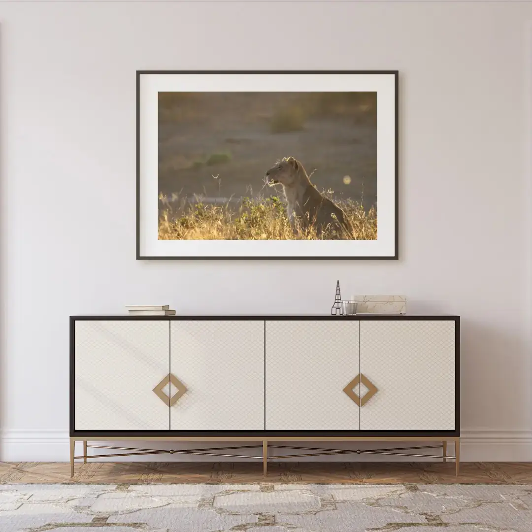 Before the Heat: room mock-up of the print (lioness in tall grass), framed on a wall