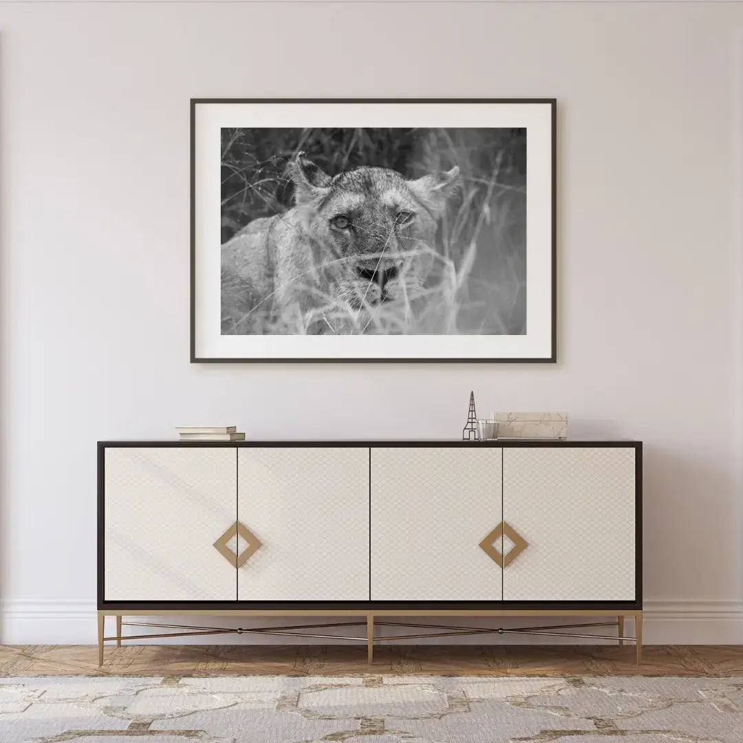 Behind the Stalks: room mock-up of the print (glare through grass), framed on a wall