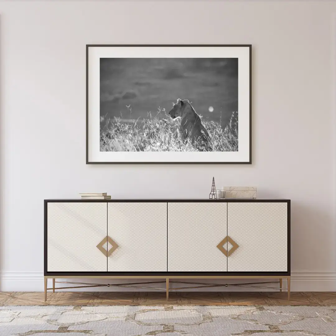 Seated at Daybreak: room mock-up of the print (lioness in the savannah), framed on a wall