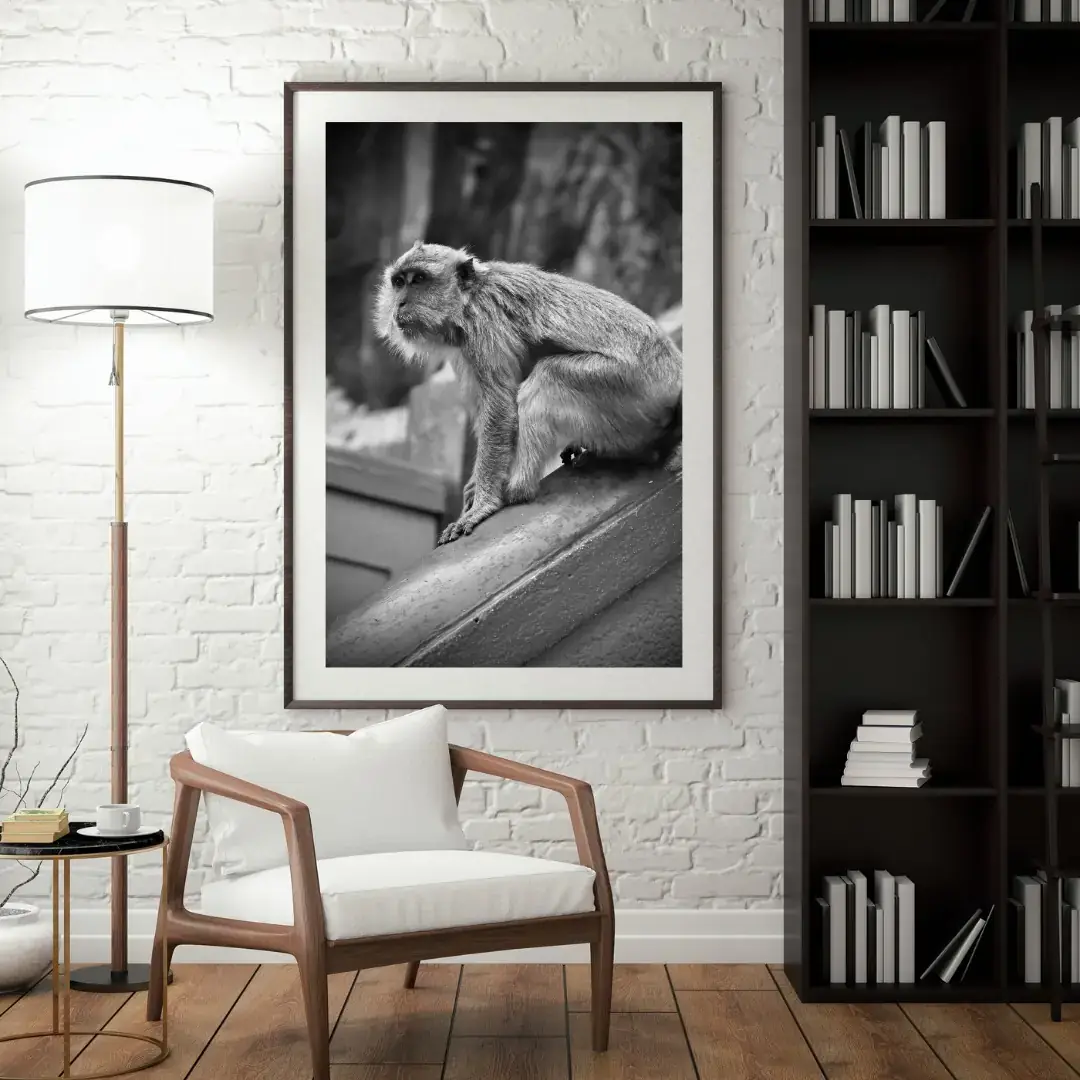 On the Ledge: room mock-up of the print (monkey, kuala lumpur), framed on a wall