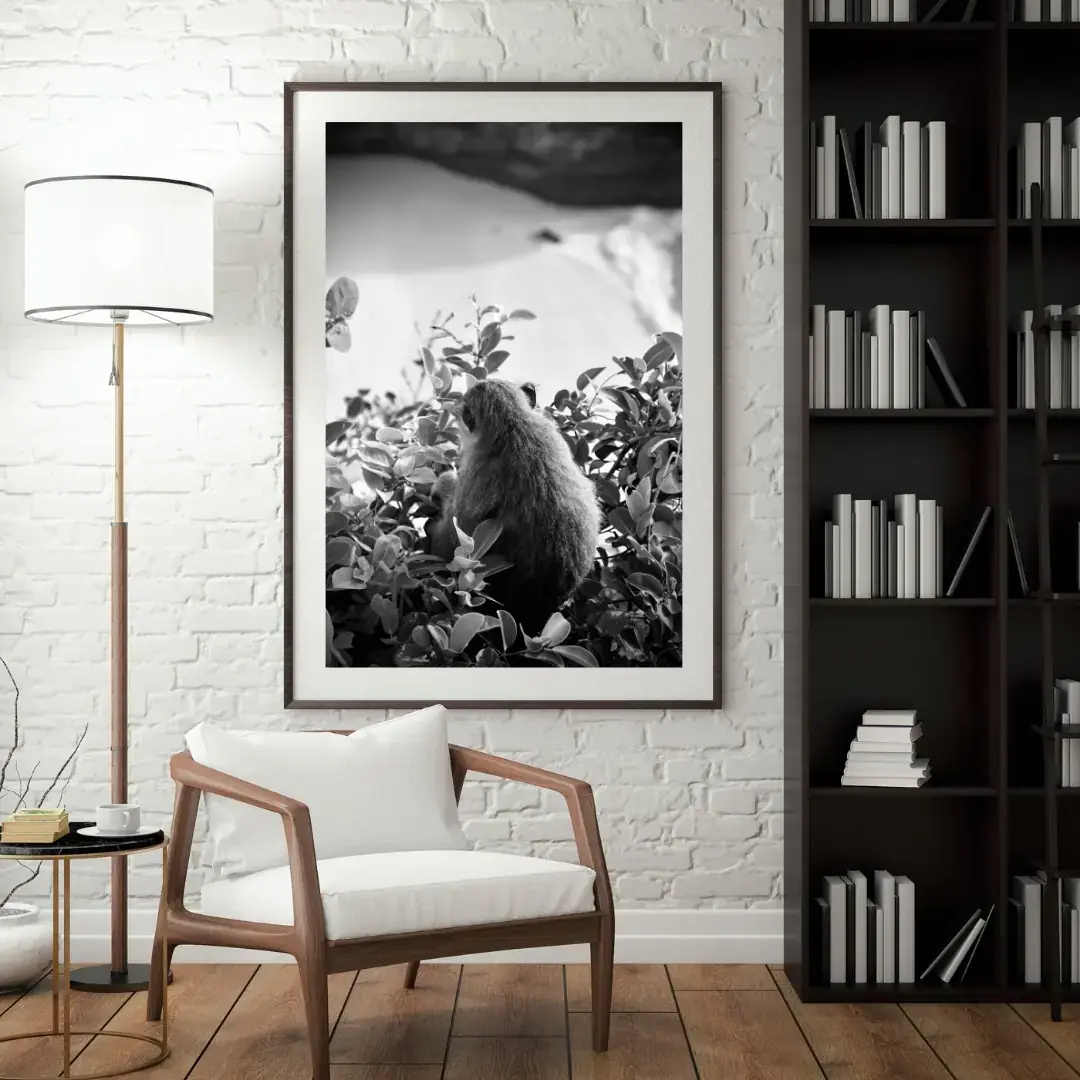 Back Turned: room mock-up of the print (monkey, nusa penida), framed on a wall