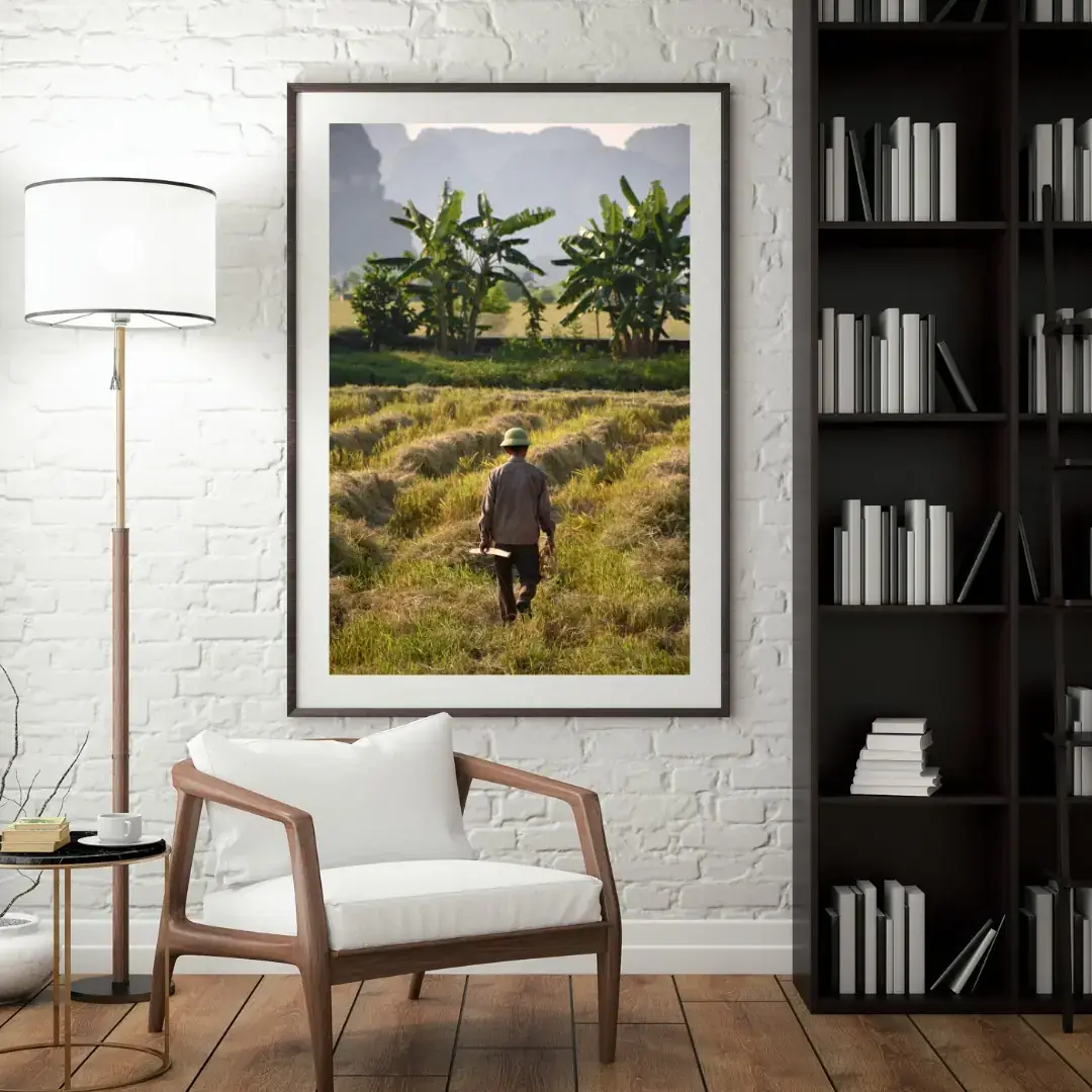 The Cut Field: room mock-up of the print (long grass, ninh binh), framed on a wall