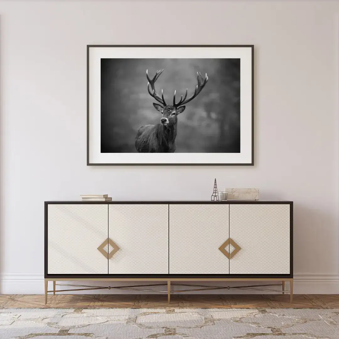 Out of the Mist: room mock-up of the print (richmond park deer), framed on a wall